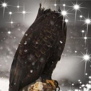 Meet your Posher, Don